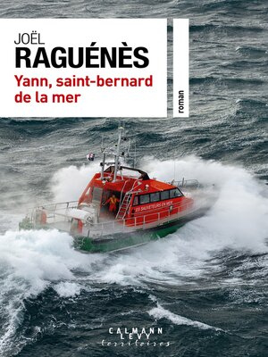 cover image of Yann, saint-bernard de la mer